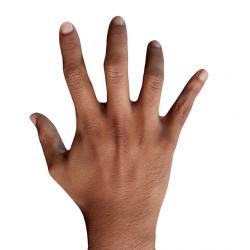 Helmi Retopo Hand Scan